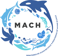 MACH-Monitoring of Algae in Chile-Monitoreo de Algas en Chile