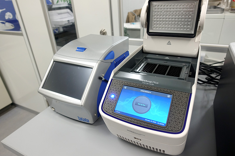 PCR device with gradient