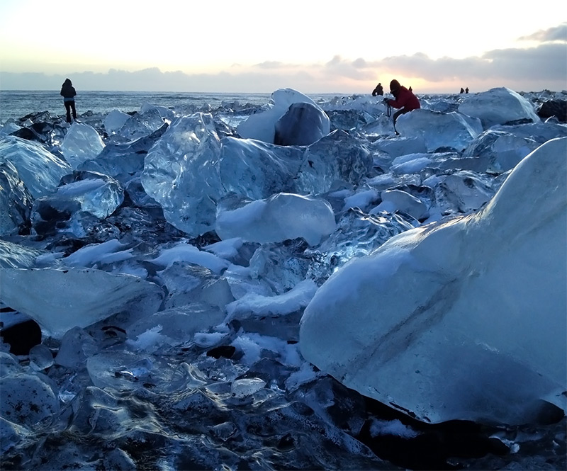 アイスランド海岸沿いの流氷：この氷にも既存の技術では培養困難な、そして特異的な微生物が生息している