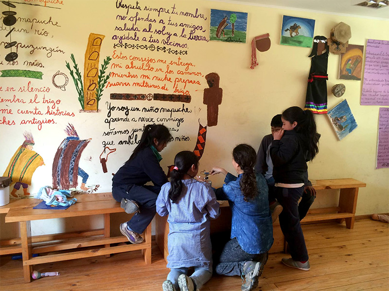 現地（チリ）小学校における微生物教育の様子1