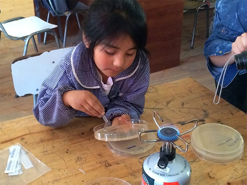 現地（チリ）小学校における微生物教育の様子2